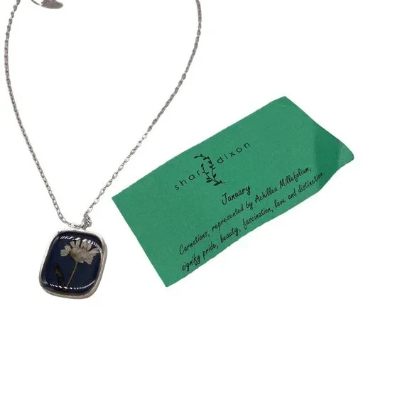 NWT Shari Dixon Pressed Flower Pendant Chain Necklace Silver Tone Spring Fashion - Picture 2 of 5